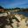 Seaside Garden - Cranbourne Royal Botanic Gardens